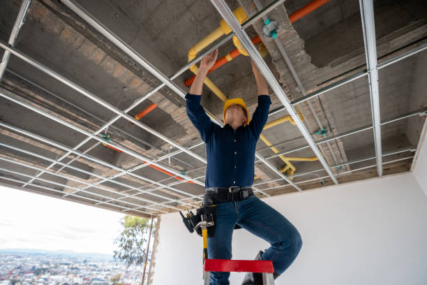 Best Local Plumber Services  in Mishicot, WI